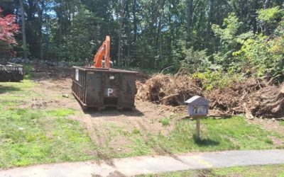 30 Yard Dumpster Rental in Peabody, MA: Disposing of Brush, Yard Waste & Stumps
